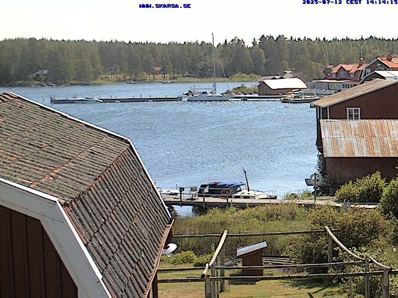 Camera Live Image