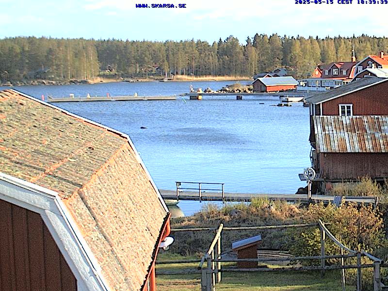 Camera Live Image