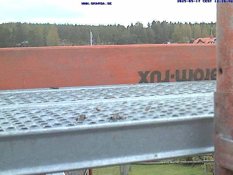Camera Live Image