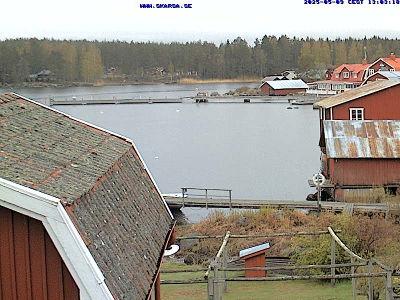 Camera Live Image