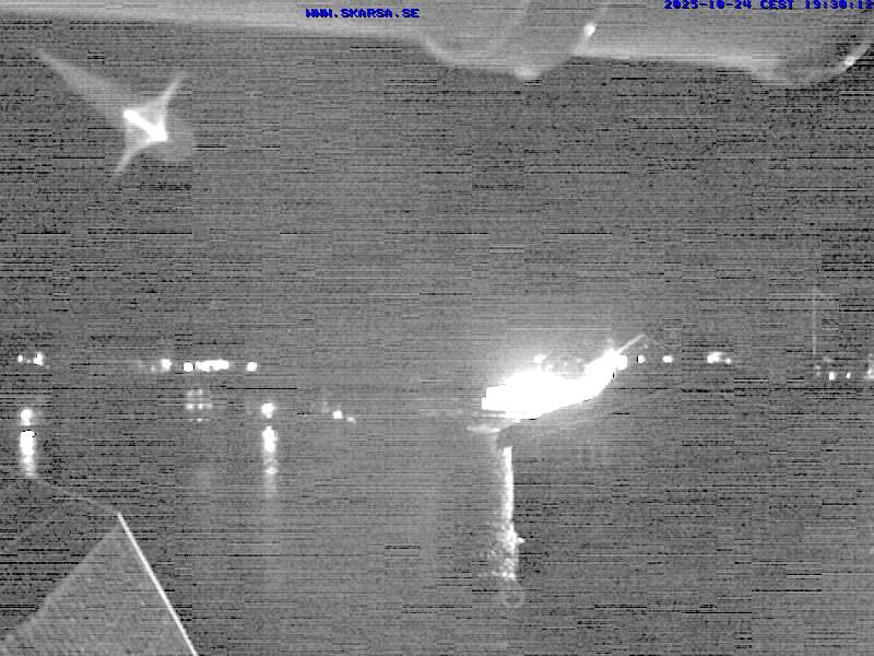 Camera Live Image